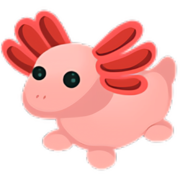 Axolotl