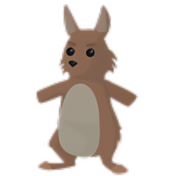 Kangaroo